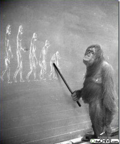 Image result for monkey teacher