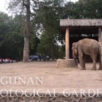 Ragunan Zoological Gardens