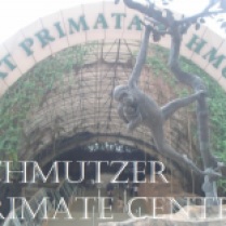 Schmutzer Primate Centre