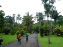 Bogor Botanical Gardens Kebun Raya21
